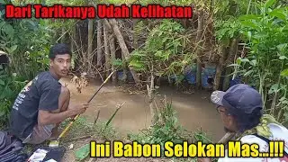 Strike Babon Penghuni Selokan || Mancing Seru Di Sarang Ikan Lele Jumbo & Nilem