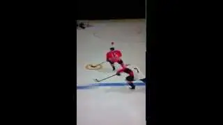 NHL11 Phenomenal Goal!!!(Jump deke)!!