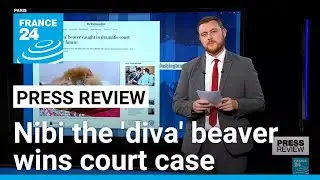 Nibi the 'diva' beaver wins court case, will be allowed to stay at rescue centre &bull; FRANCE 24