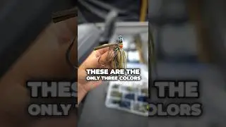 The ONLY 3 Bait Colors You&rsquo;ll Ever Need for Bass Fishing 🎣🔥 #fishing