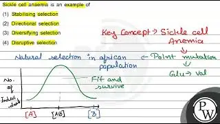 Sickle cell anaemia is an example of (1) Stabilising selection (2) Directional selection (3) Div...