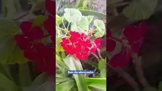 #natureza#impressionante
