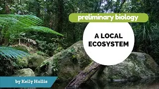 A Local Ecosystem 8.2.1.i) - Abiotic Characteristics