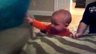 Colt Laughing