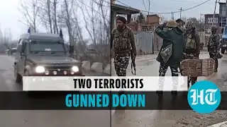 Two terrorists killed in encounter with security forces in J&K's Anantnag