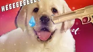 НЕ стреляй в Собачку | Don't Shoot The Puppy
