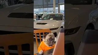 Learning New Car Features