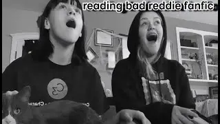 reading bad reddie fanfic but it makes no sense