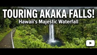 Inside Akaka Falls State Park - Honomū, Hawaii