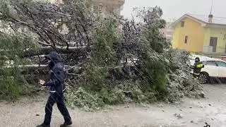 Ondata di maltempo a Vasto e nel Vastese: neve, mancanza di corrente, allagamenti e alberi caduti