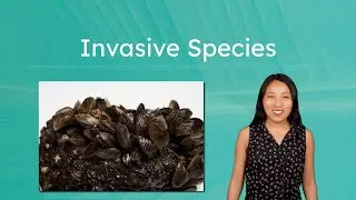 Invasive Species and Human Impact - Managing Threats to Biodiversity