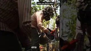 Episode 4: Embracing Multiflora Magic