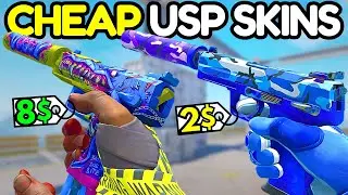 BEST Budget USP Skins in CS2! (CHEAP USP-S SKINS 2024)