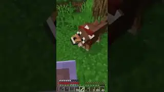 Minecraft Hardcore Games with my girlfriend version 1.21.5 days 400+ sweet dog part 8 👌❤️🌸🍀👍