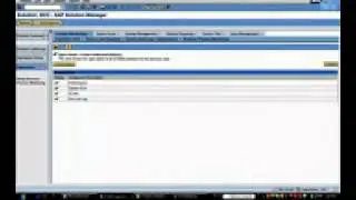 BPM in Solution Manager by Alpha Sirius