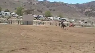 barrel racing accident