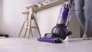 Dyson Ball Animal 2