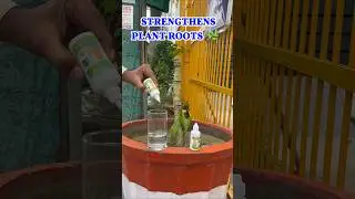 Plant Boost Liquid Bio Fertilizer for plant growth organically - www.swiftgetter.com