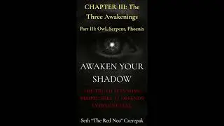Chapter 3: Part 3 Owl, Serpent, Phoenix (Awaken Your Shadow)