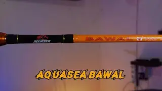 JORAN PANCING SOLID CARBON 100 RIBUAN AQUASEA BAWAL