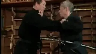 Takagi Yoshin ryu Juttaijutsu