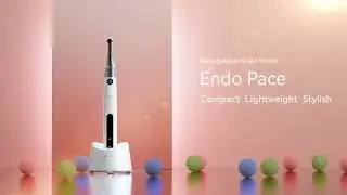 Woodpecker Endo Pace Endo Motor