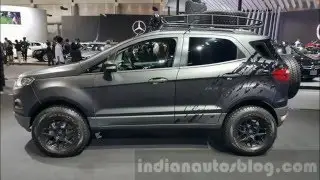 Ford EcoSport Custom Modifications