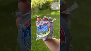 New BLUEBERRY Moon Pies Review!