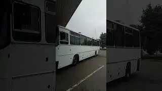ПРИВЕТ IKARUS 250 A 997 HO 01 ЛЕГЕНДА 🔥🔥🔥💪💪💪👍👍👍 из Майкоп в Белореченске 02 .09 2025