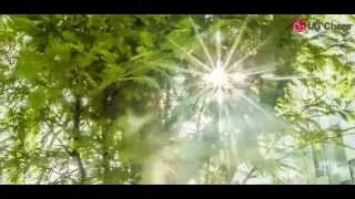 LG Display OLED Light with high CRI