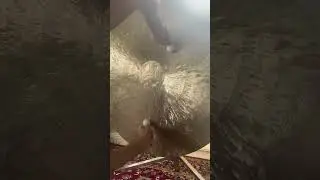 Flumie Demo - Gong Bath Training