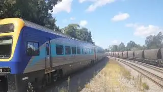 NSW Trainlink/ Regionals Beresfield/Victoria Street Part 1 Vlog 12