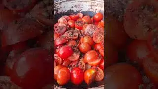 Nepali style Spicy momos chutney 🥵😋 #shorts #ytshorts #momoschutney #chutney #recipe part 1