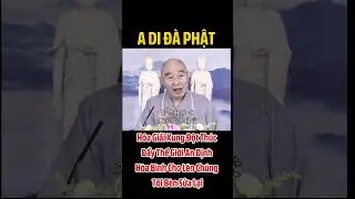 Conflict Resolution #phapsutinhkhong #loiphatday #adidaphat