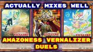 Yugioh - Amazoness Vernalizer Duels (Deck Download in Description)