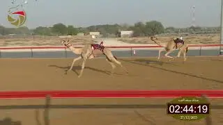 سباق اللقايا – سيف العرب 27-12-2025 ش12 مبهر لـ عبدالله حمود ثعلوب الدرعي  7:34