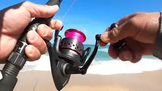 Gorgeous day at the beach Whiting is definitely biting.(4)
