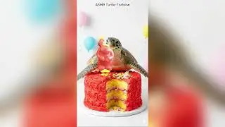 TORTOISE EATS CUPHEAD TOY STORY BO PEEP 💥☕️ #Crunchy #Mukbang #Shorts