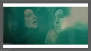 Stock or Not - Character Study