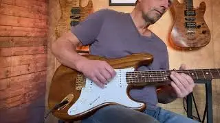 Warmoth roasted ash/roasted maple neck. Dimarzio HS-2 and HS-3 Bridge.