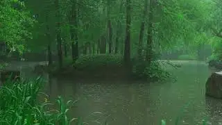 Ruhiger Fluss bei Regen im Wald
