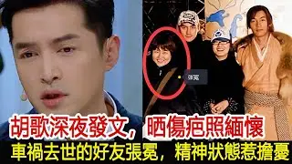 胡歌深夜發文，晒傷疤照緬懷車禍去世的好友張冕，精神狀態惹擔憂︱李佳︱靳東︱劉濤︱胡歌︱馬伊琍︱江珊︱王志文︱田小潔︱吳越︱王凱#新視野傳媒