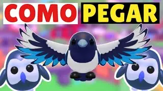 COMO CONSEGUIR GR&Aacute;TIS O NOVO PET DO ADOPT ME  adopt me roblox