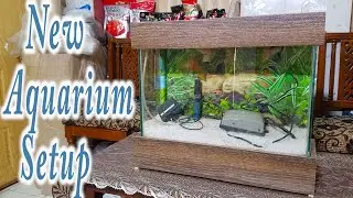 New Aquarium Setup | Fish Tank Setup in Urdu\hindi | 25 Years Experience of Aquarium Setup