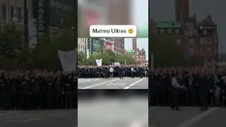 Swedish Ultras are CRAZY! 😅 #malm&ouml; #malmoff #swedishultras #ultras