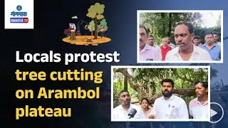 Arambol Hill Cutting - Locals protest tree cutting on Arambol plateau | Gomantak TV