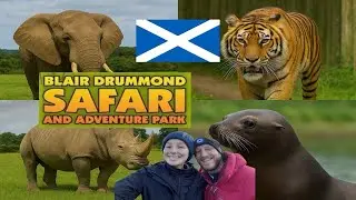 Scotlands best safari park?? 🏴󠁧󠁢󠁳󠁣󠁴󠁿 Blair Drummond Safari Park 🐅🦭🦏🦒