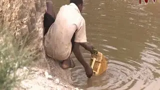 Worst drought in decades leaves Isingiro residents in desperate search for water