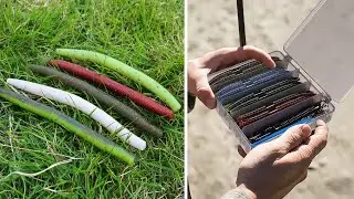 Best Bass Worms Every Angler Should Try - Catch More Fish!