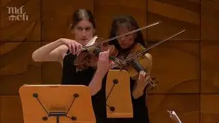 Discovery Series: Glazunov Violin Concerto, First Movement, Highlight 3
